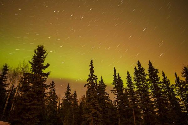 AK, Fairbanks Aurora borealis and star trails